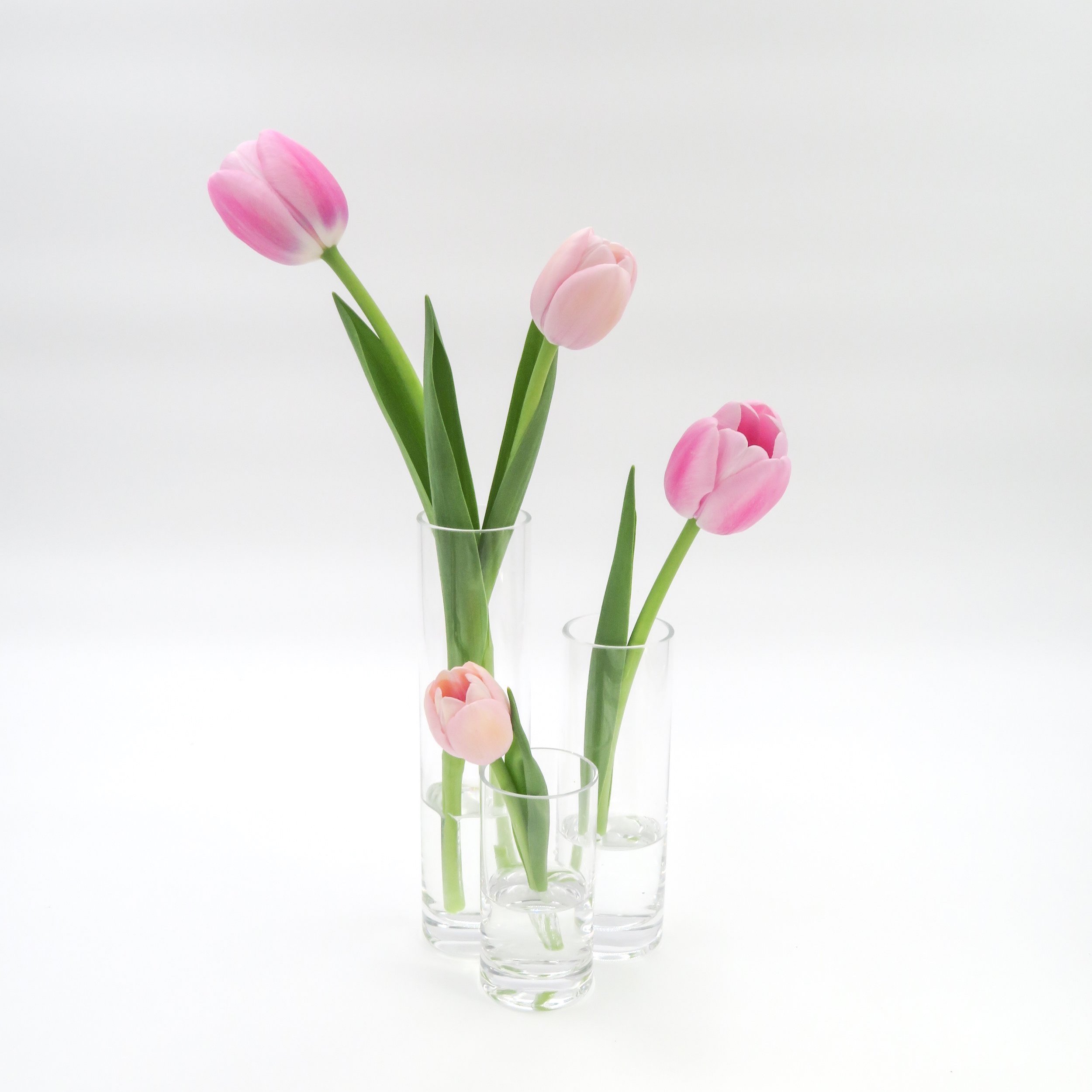 Group+3+cylinder+buds+with+flowers.jpg