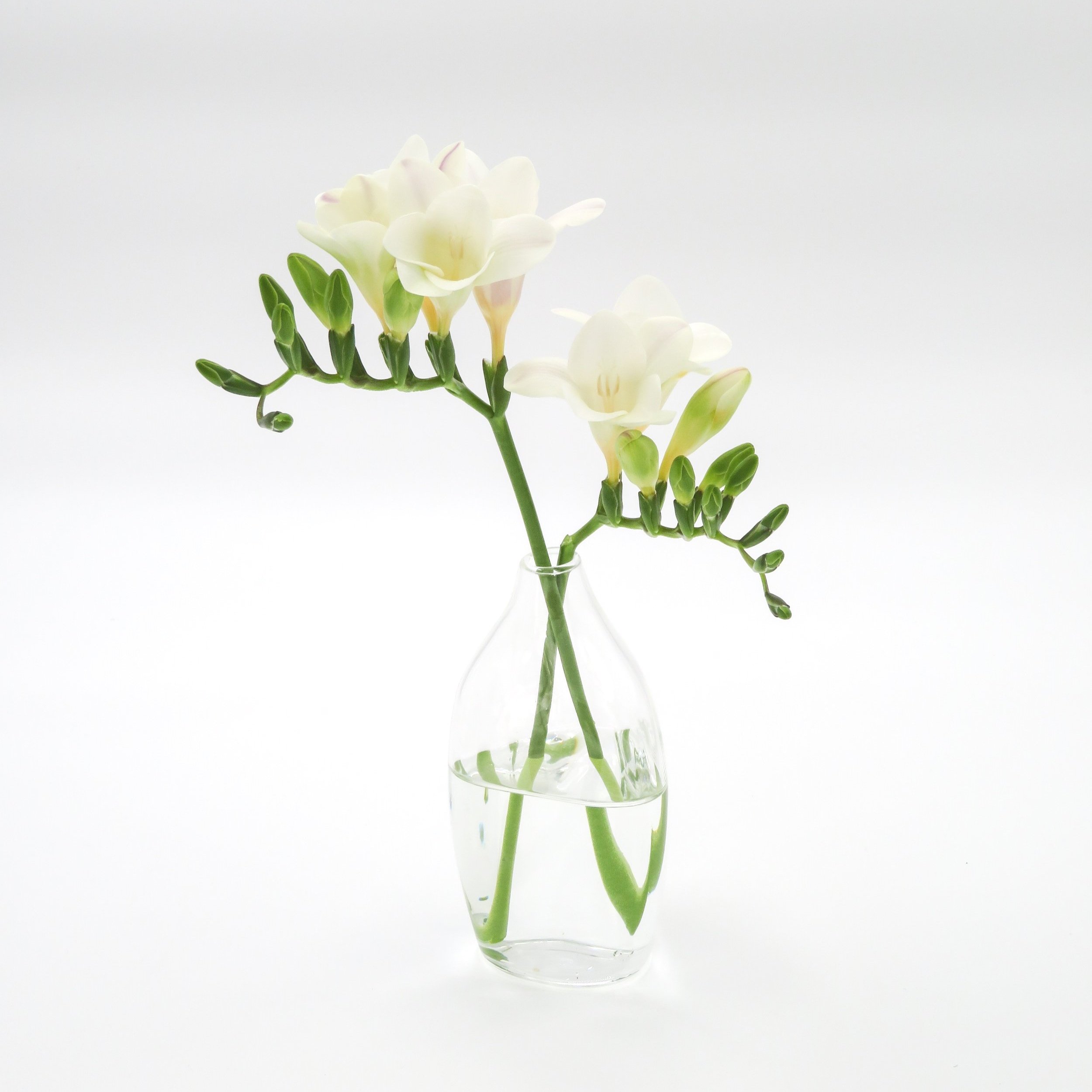 Small+asymmetric+vase+with+flower.jpg