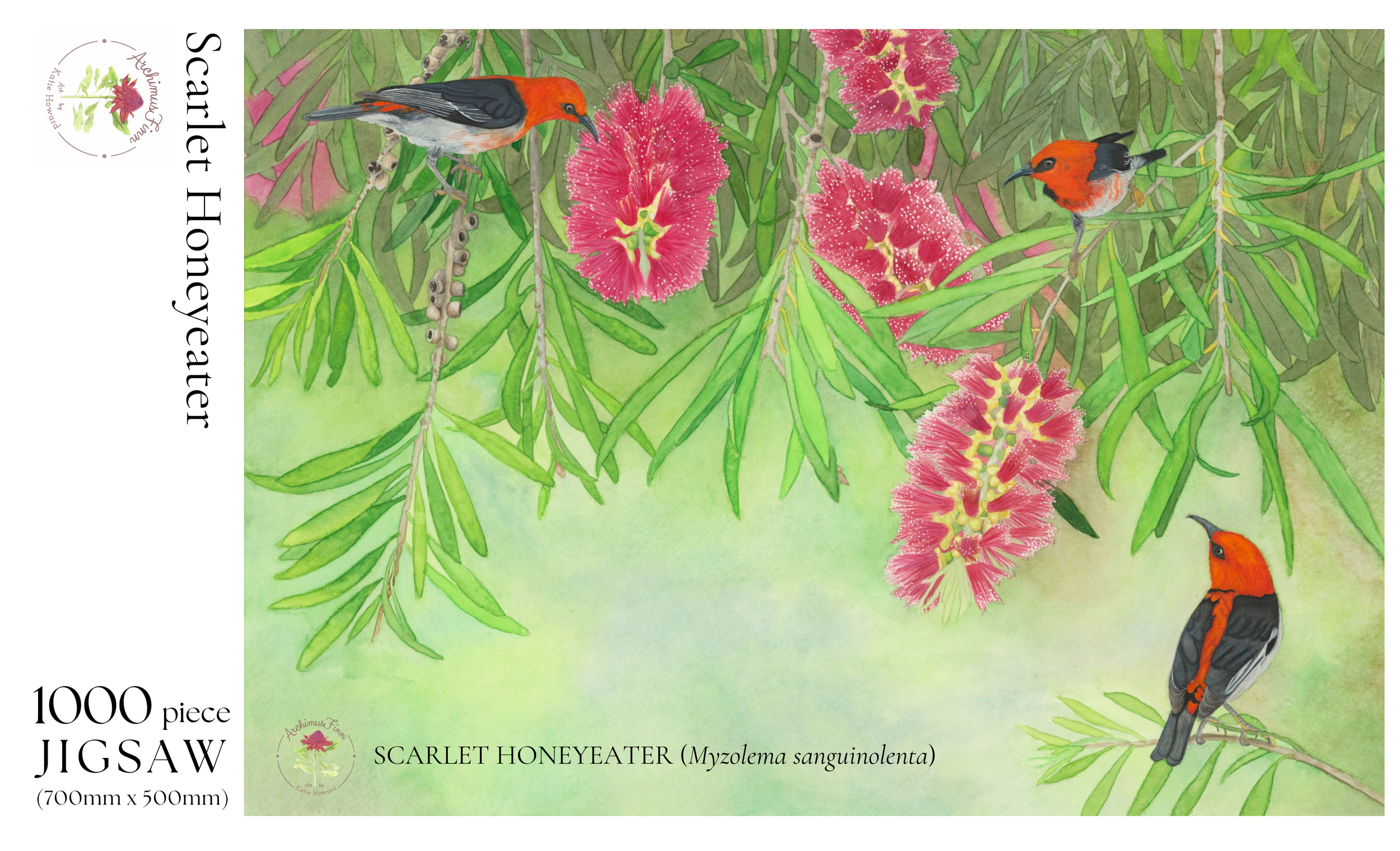 Scarlet Honeyeater Puzzle Box_cropped.png