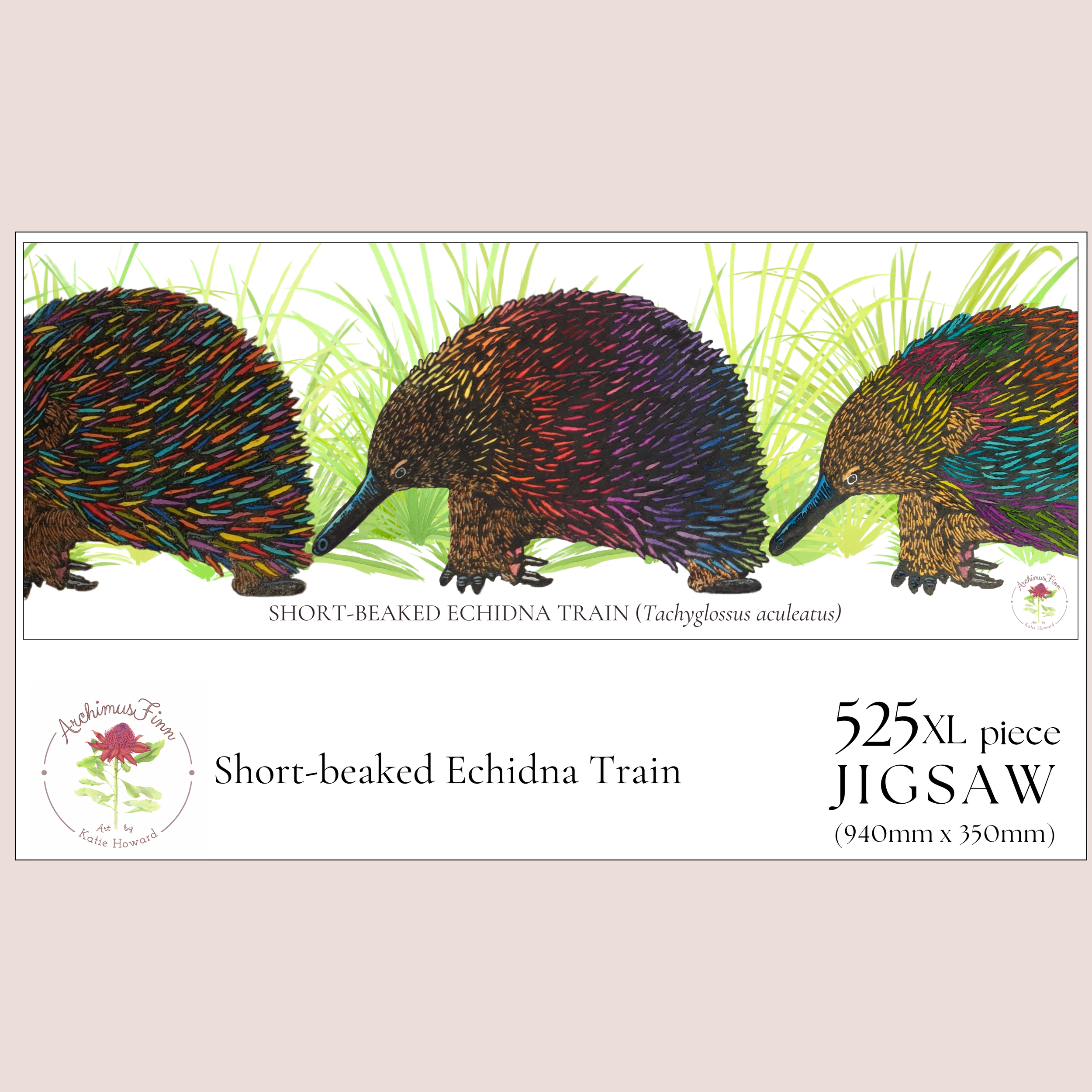 Puzzloe echidna 2.png