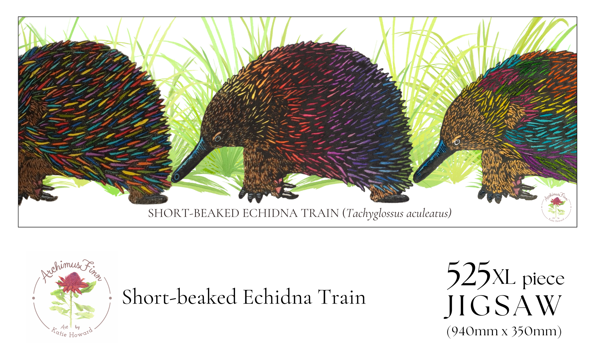 SHORT-BEAKED ECHIDNA Puzzle Box_cropped.png