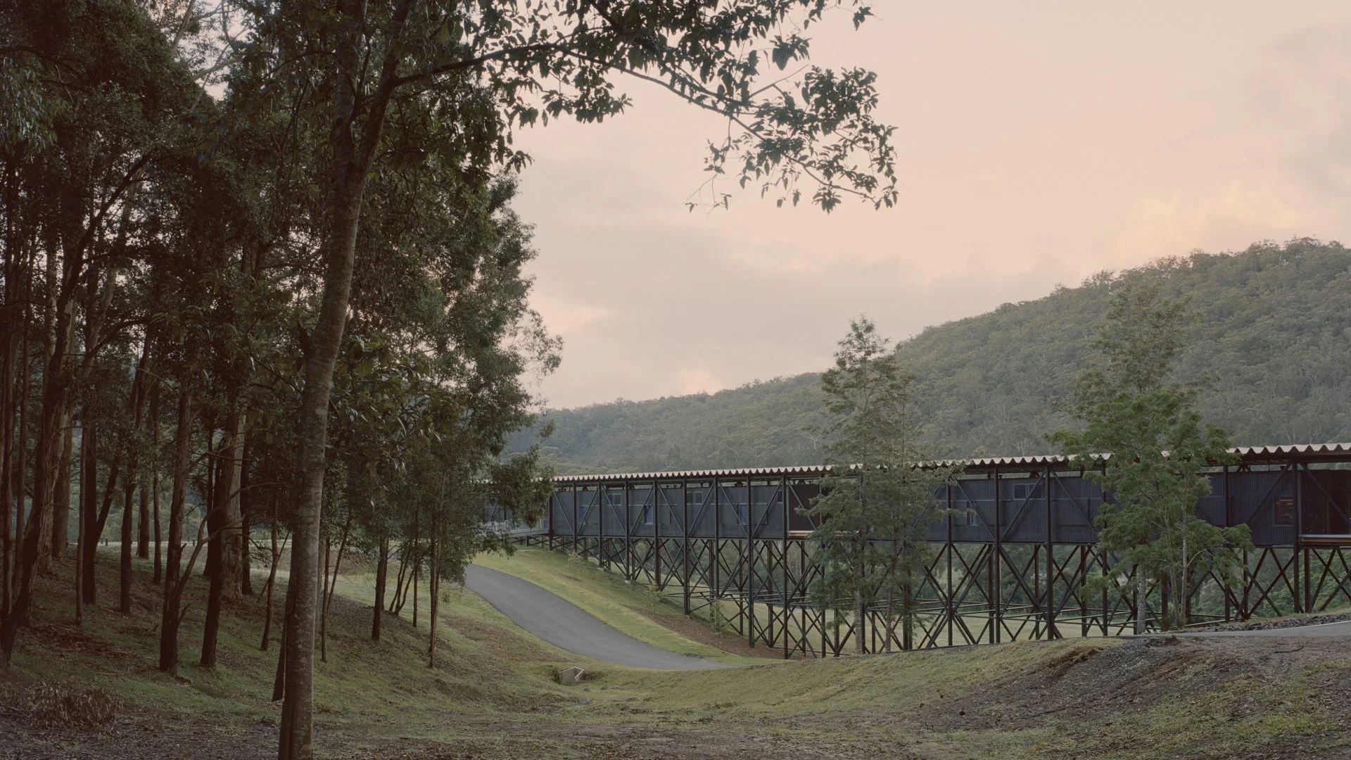 A long, elevated train traveling through a forested area with trees on either side and a mountain in the background.
