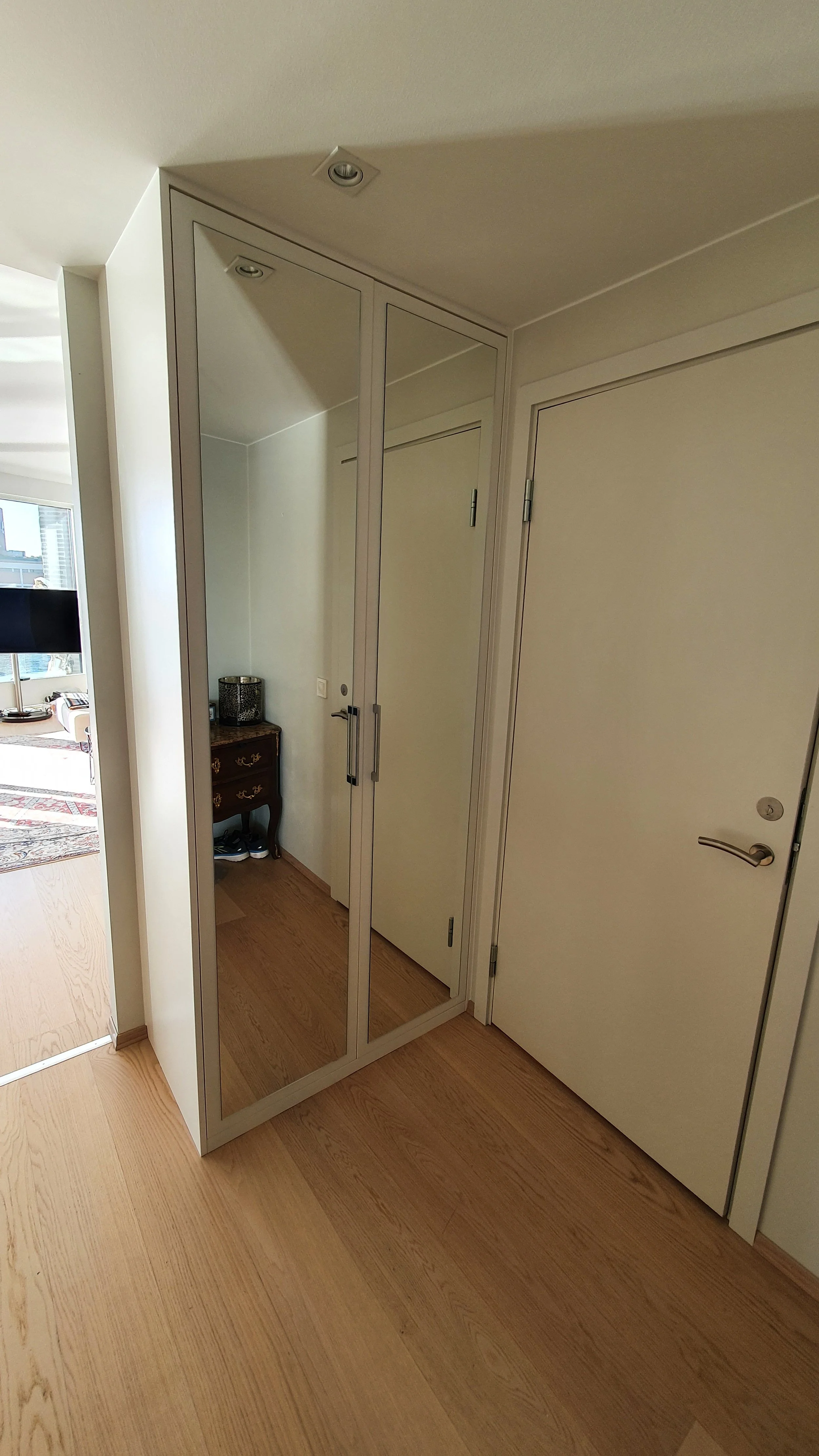 W1000 ST9, Pålimt speil, Z-15 .jpg