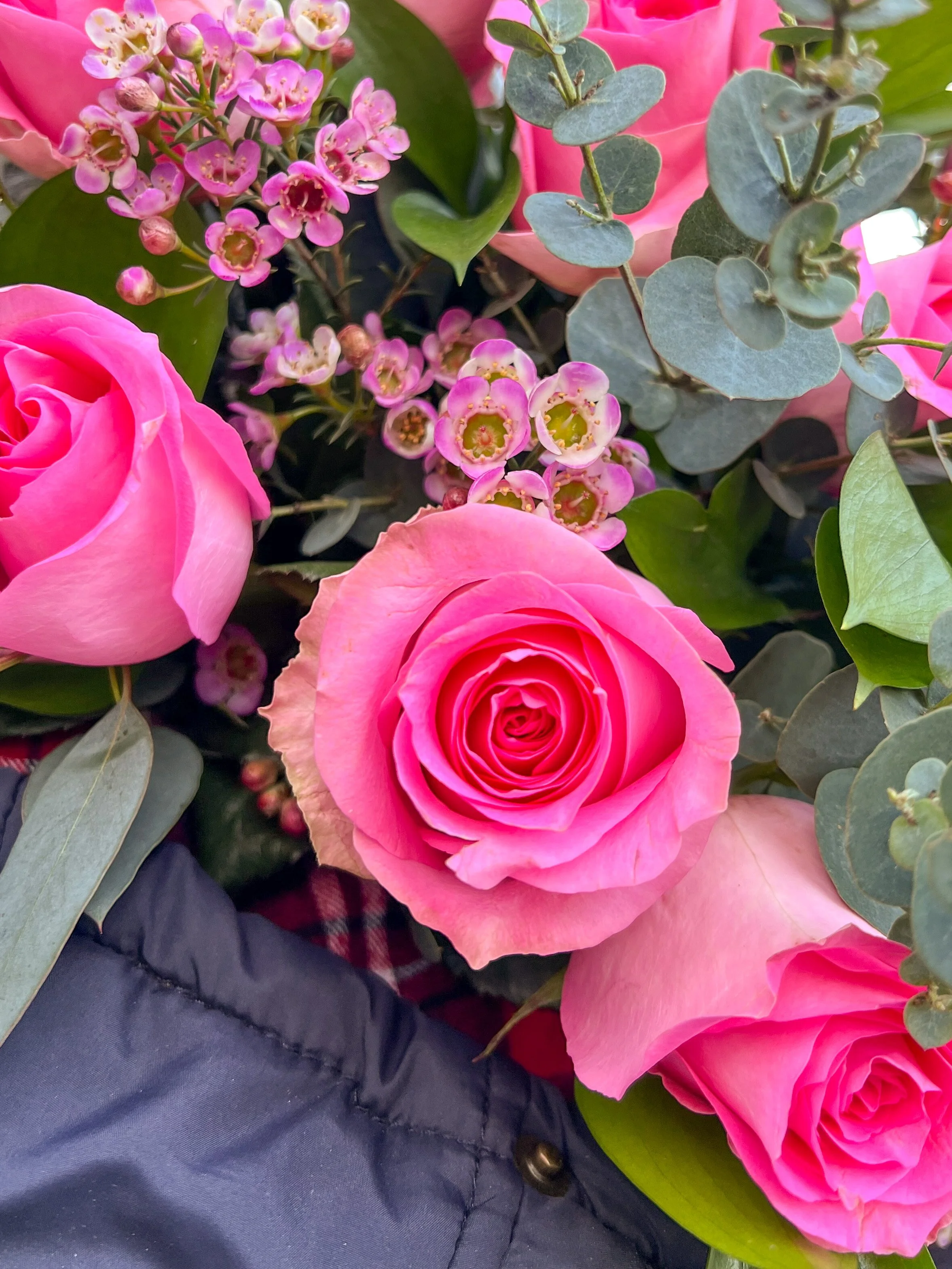 Bright pink luxury roses.