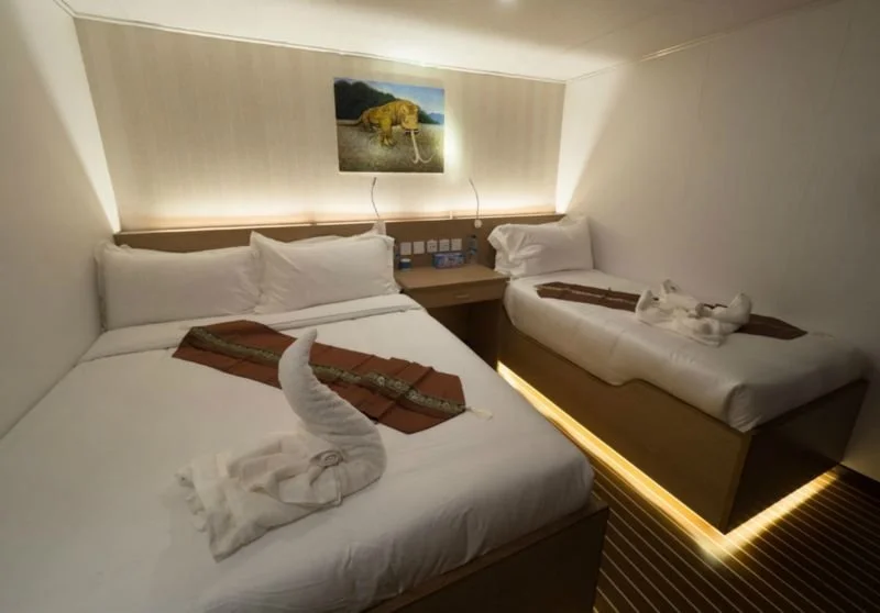 Standard Lower Deck Cabin