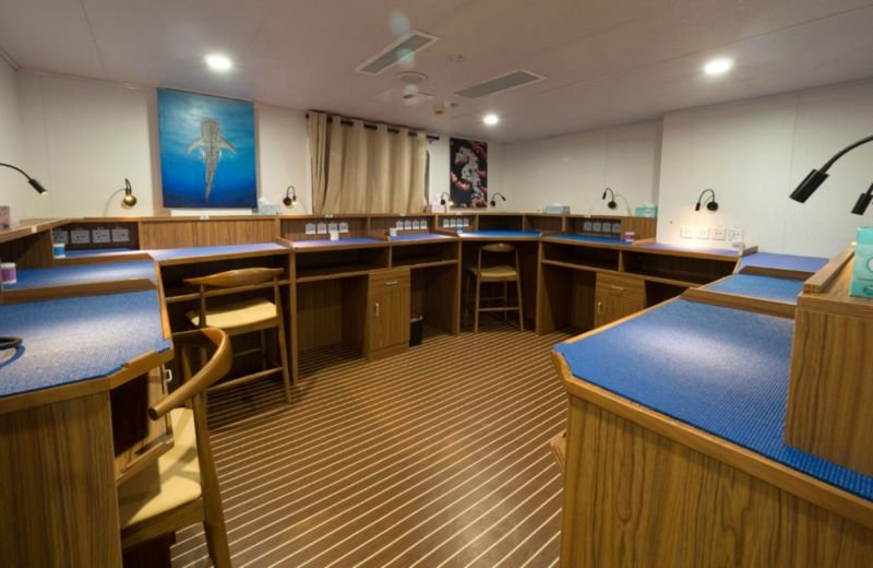 Best photographers liveaboard camera room