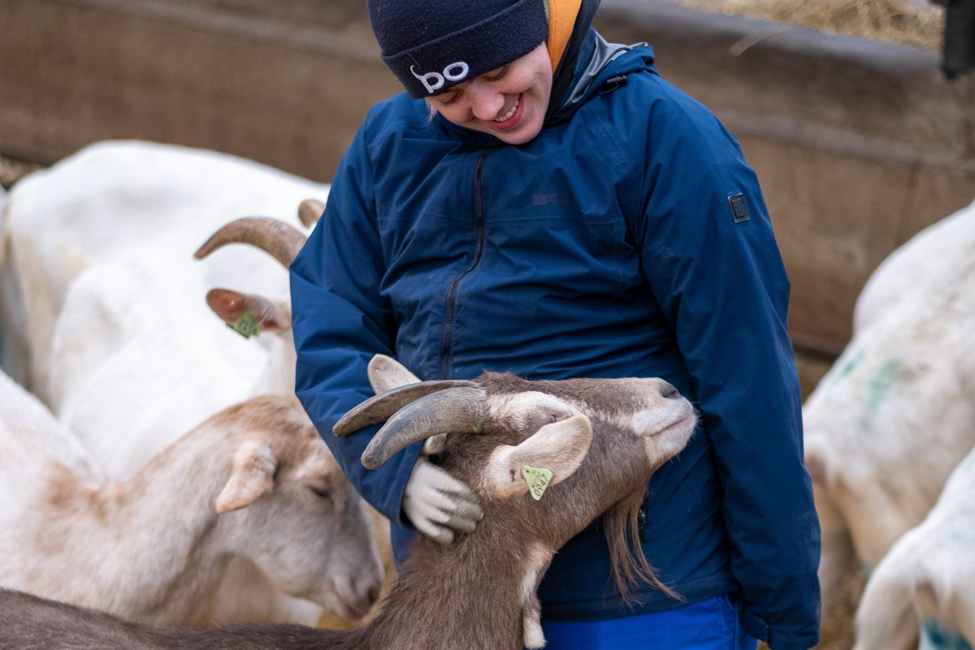 Karditsel als zorgboerderij: waar Amber en Knoep elkaar vonden