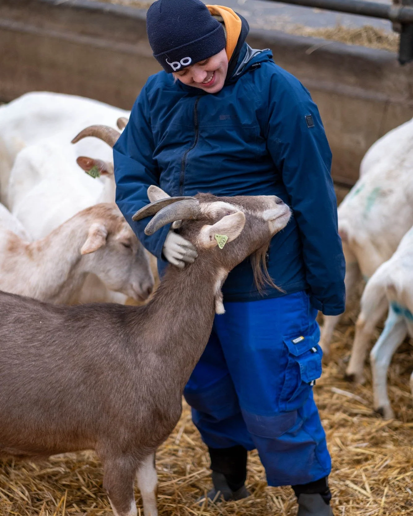 Bij Karditsel is er ook plek voor zorg. We bouwen stap voor stap aan onze werking als zorgboerderij. Jongeren en volwassenen die nood hebben aan rust, structuur of houvast vinden die in het ritme van onze boerderij. Zoals Amber, die zich al jaren inz