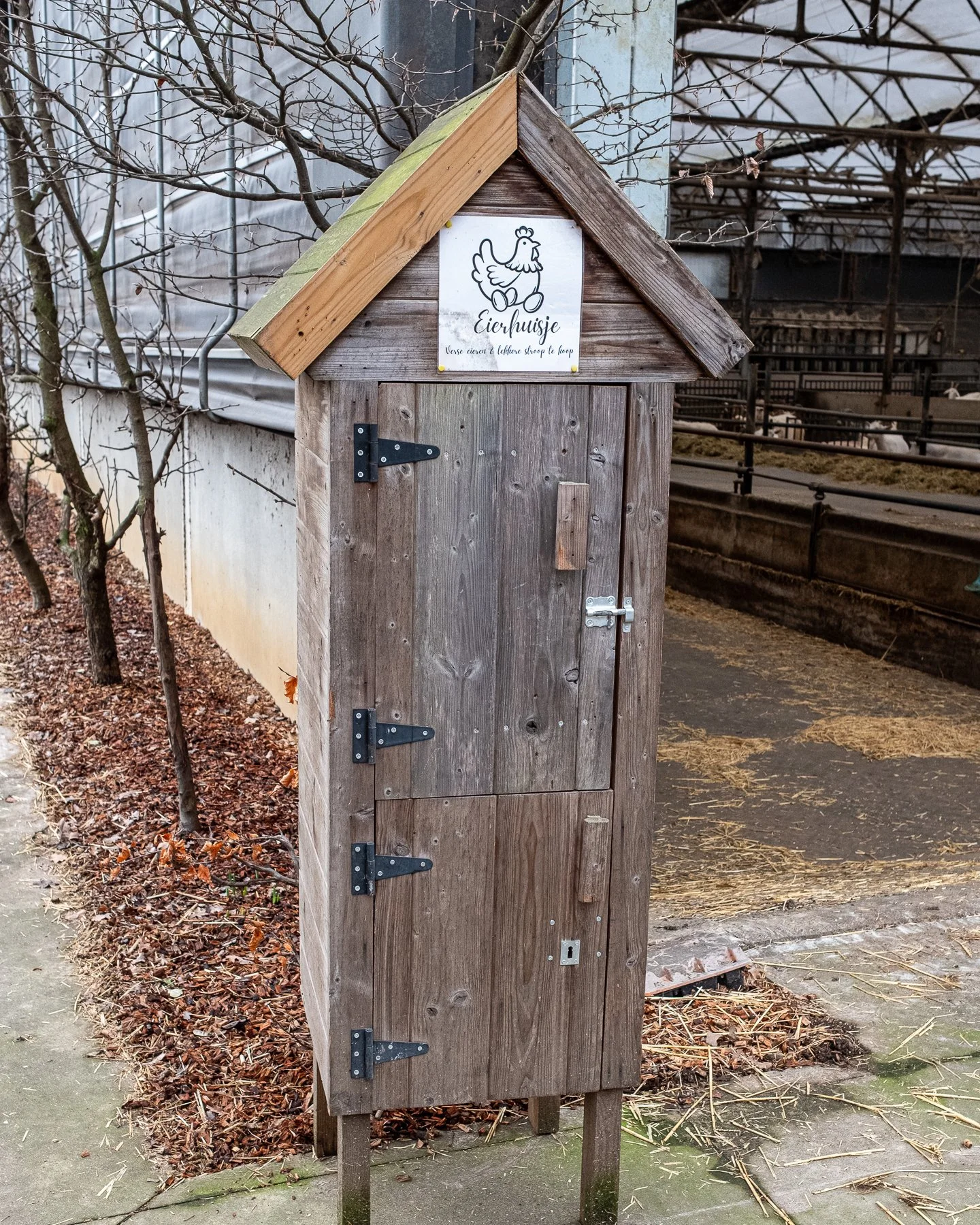 In het eierhuisje op de hoek van onze geitenstal vind je niet alleen biologische eitjes van onze eigen kippen, maar ook de geliefde Limburgse stroop van Landknapen, gemaakt van het fruit van onze eigen bomen! 🍎 Onze stroop is ook verkrijgbaar bij @d