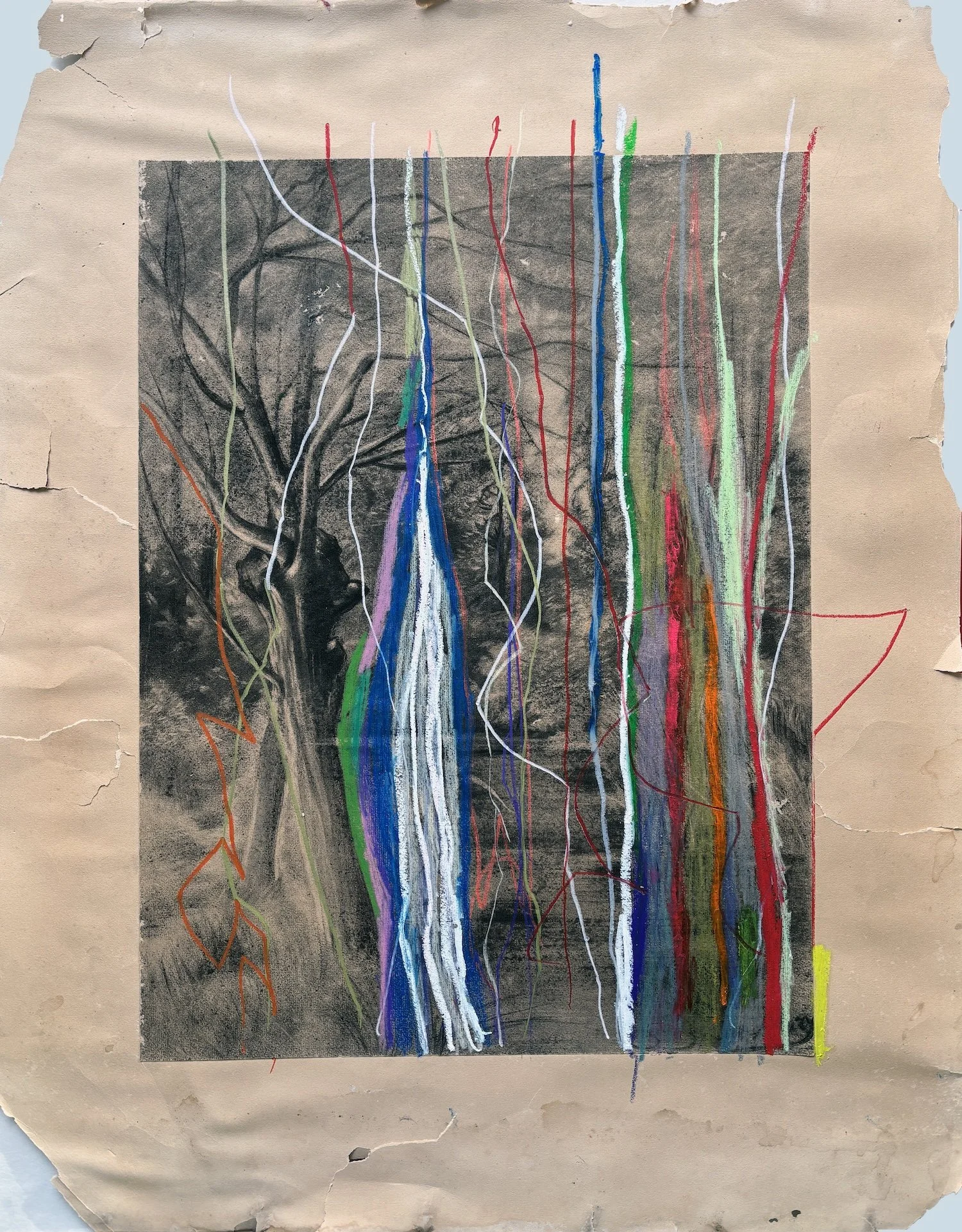 true life, 70 X 55 cm, 2024.jpg