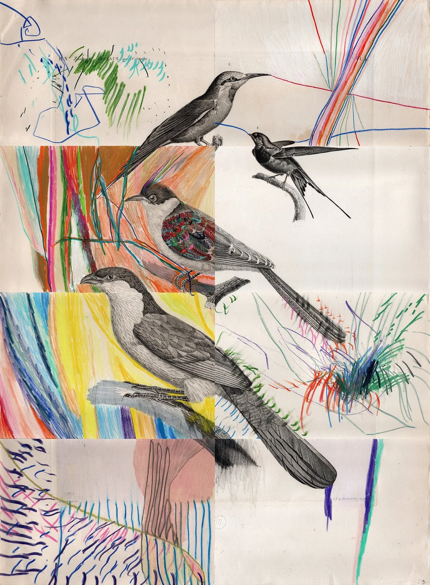 four birds, 76 X 56 cm, 2024