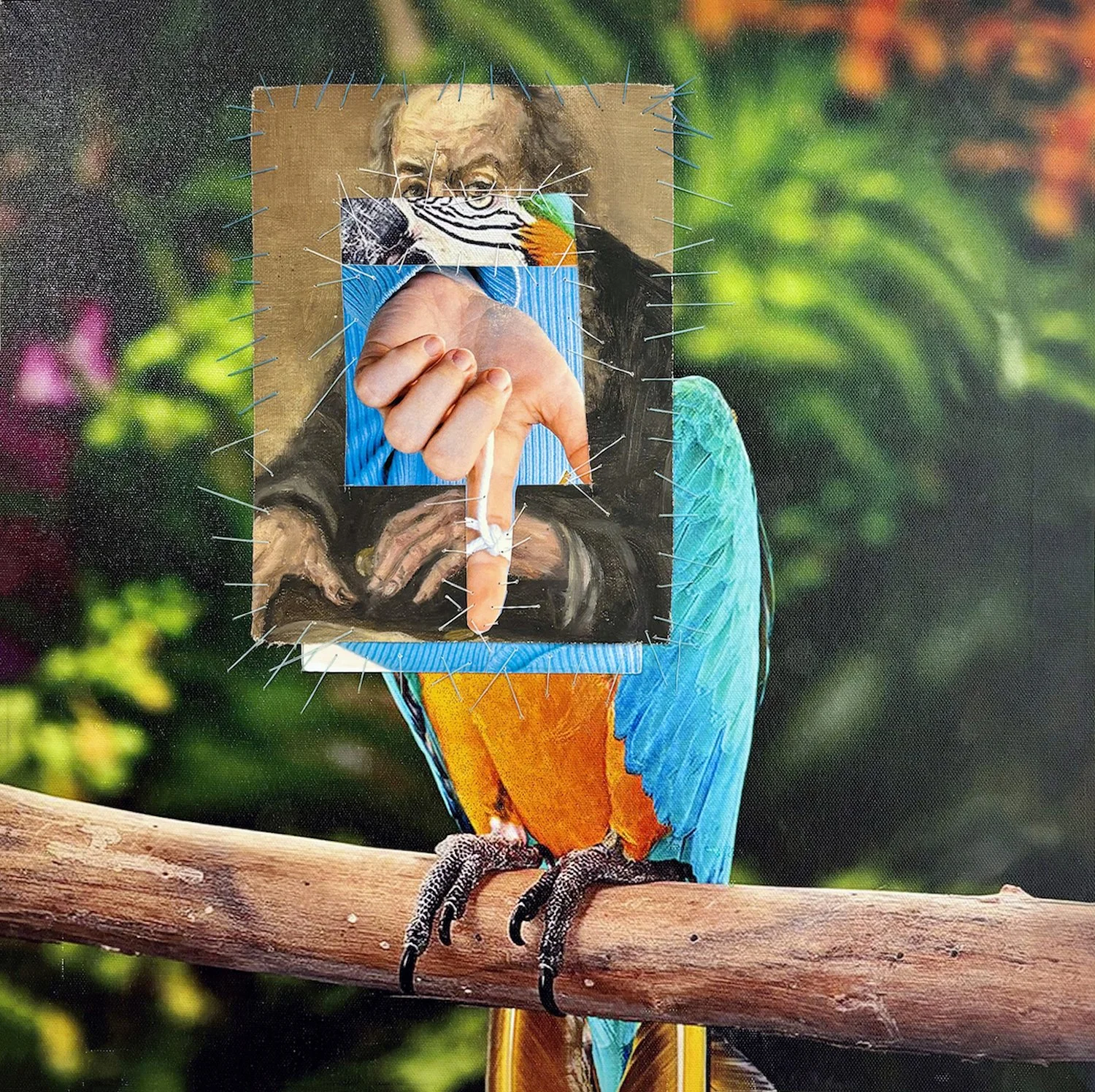parrot finger 40X40 cm.jpg