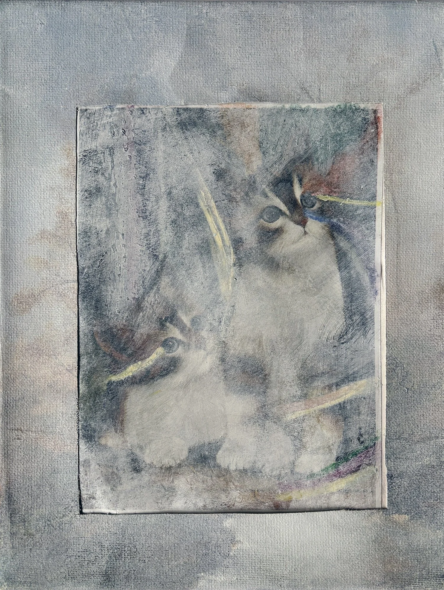 deux petits chats repeints.jpg