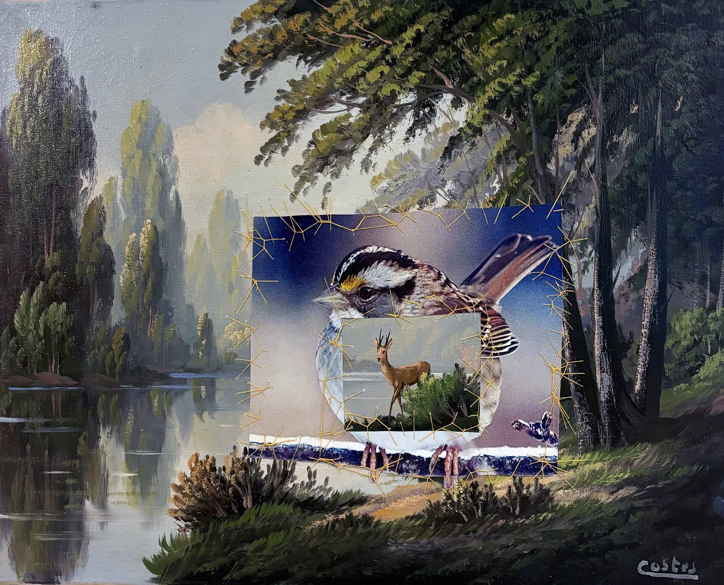 doe in a bird, 38X55 cm, 2023
