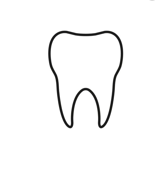 tooth outline.jpeg