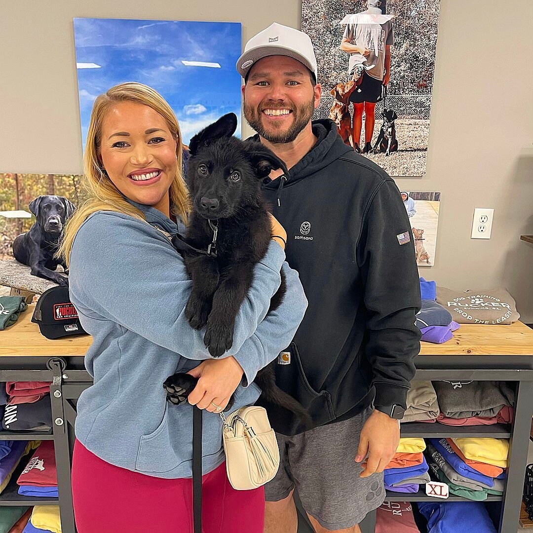 Jager spent the weekend with Scot for a few days of our Puppy Head Start program. We are looking forward to seeing Jager and his parents in our Beginner class working together soon. 

For more information on our Puppy Head Start program please contac