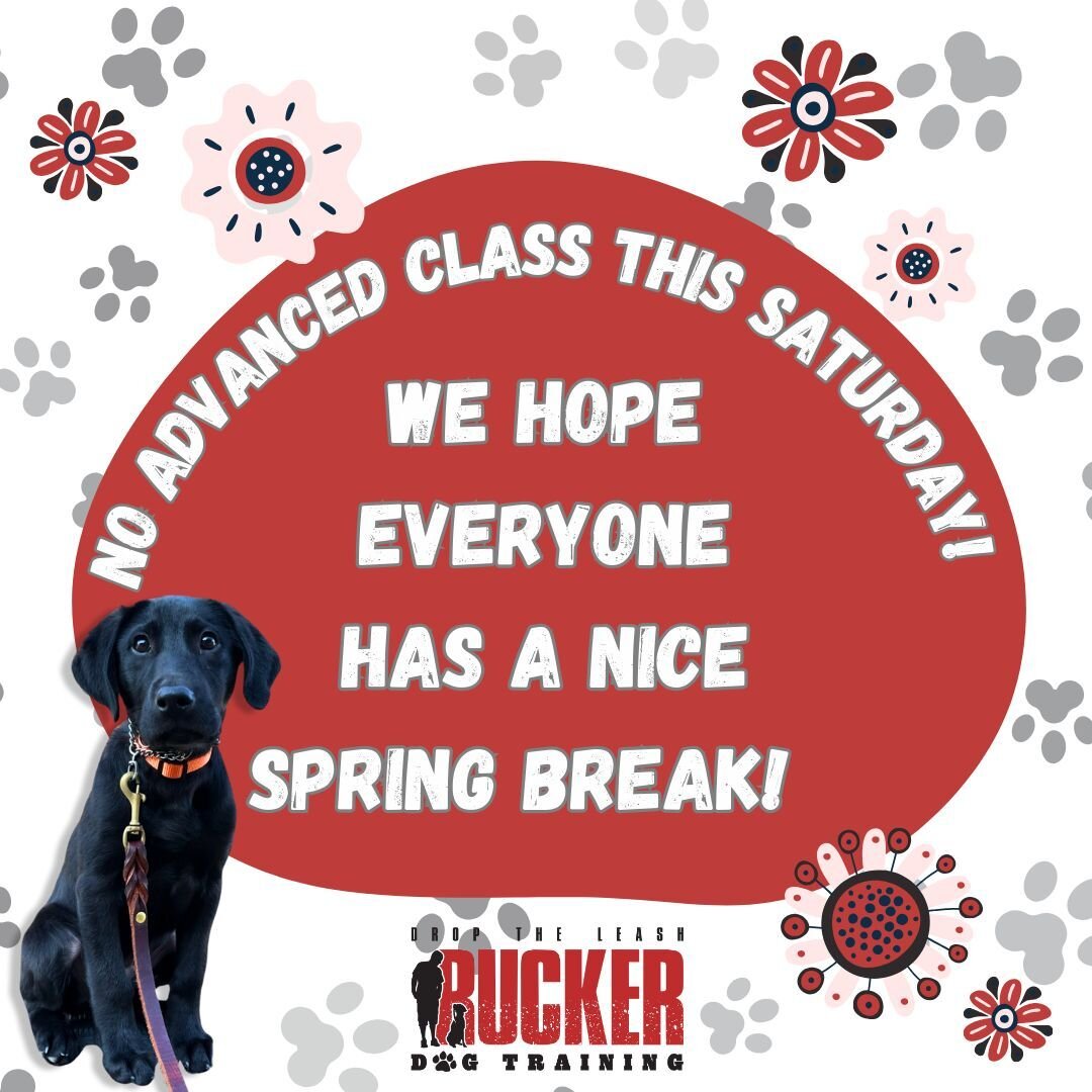 🌸 Spring Break Alert! 🌞 Gearing up for a fantastic week ahead! 🏖️ Just a friendly reminder: There will be no Advanced Off-Leash class this Saturday. Enjoy your break, everyone! See you back in class in a few weeks! 🐾 

#SpringBreak #NoClass #SeeY