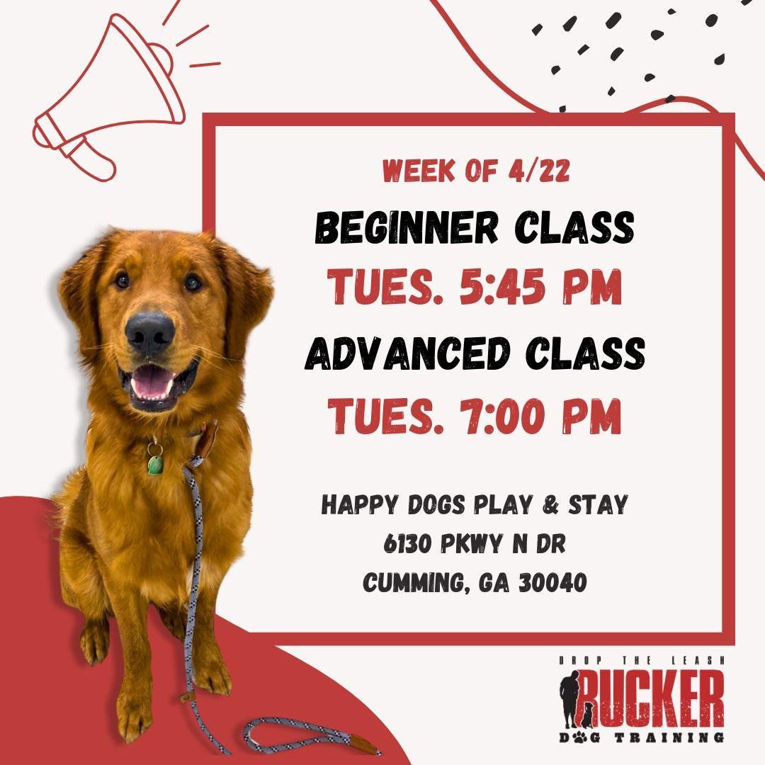 Please see this week's class schedule for Happy Dogs Play &amp; Stay in Cumming. This is week 2 for Beginner class. Can't wait to see eveyone's progress this week!

#ruckerdogtraining
#droptheleash #offleashtraining #offleashlife #dogtraining #obedie