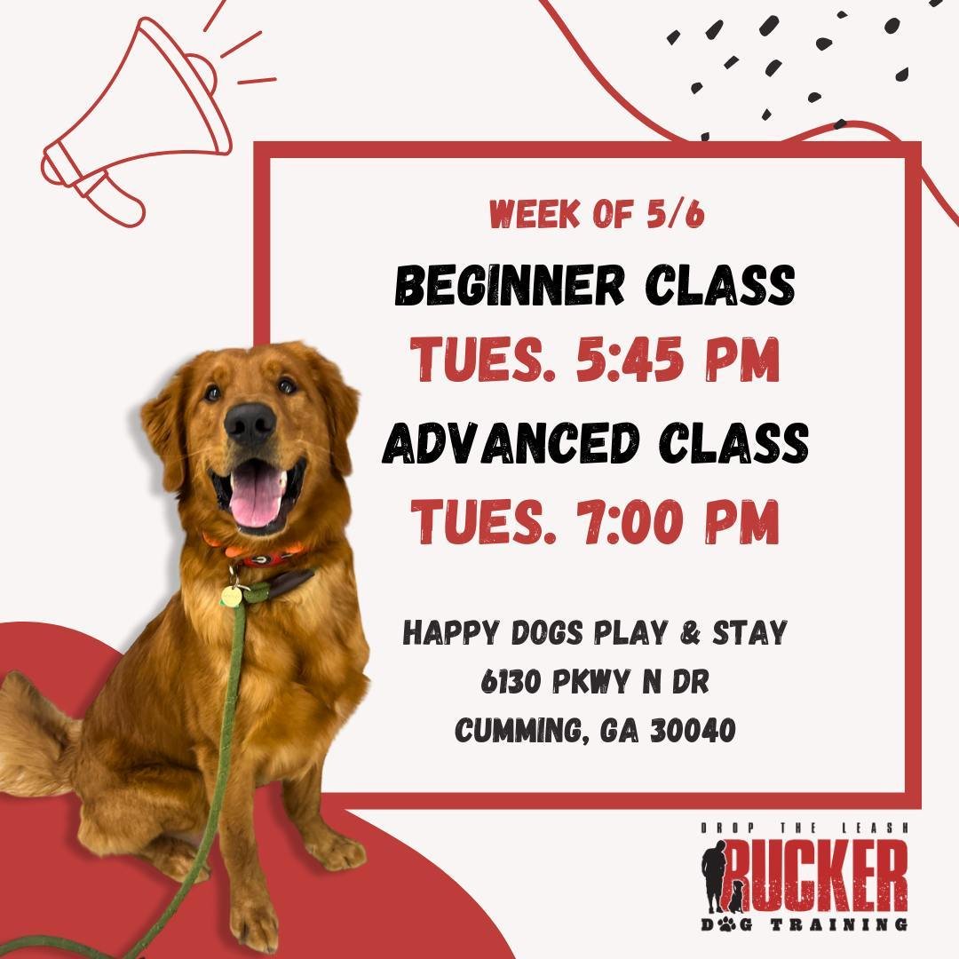 Please see this week's class schedule for Happy Dogs Play &amp; Stay in Cumming. This is week 4 for Beginner class. Last week before your Beginner class test! 

#ruckerdogtraining
#droptheleash #offleashtraining #offleashlife #dogtraining #obediencet