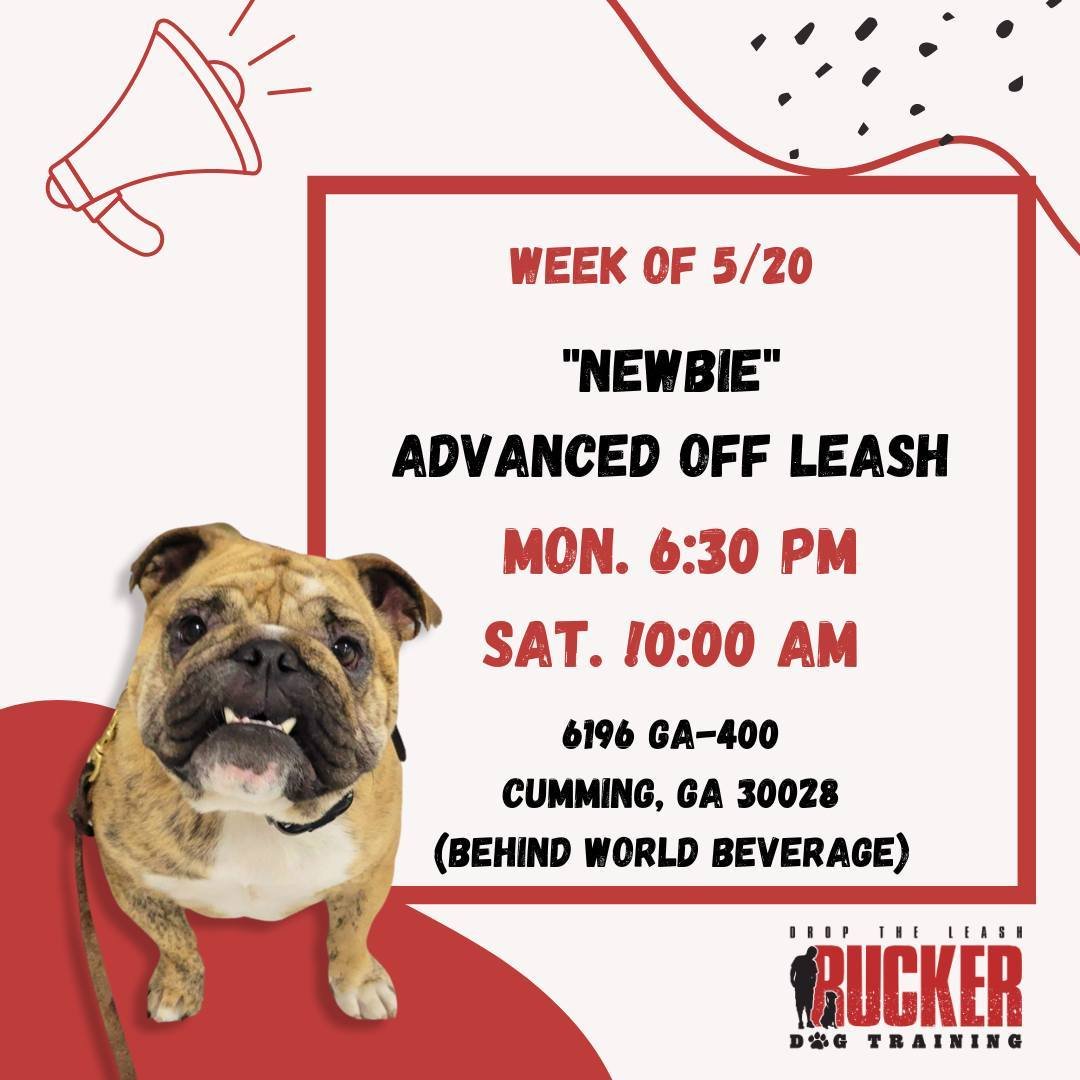 It&rsquo;s Newbie week! A warm welcome to all our newcomers joining us for Advanced class. Excited to guide you on your journey to mastering off-leash skills!

 We will see all our current advanced pups back the wee of June 3rd. Enjoy your break!

#r