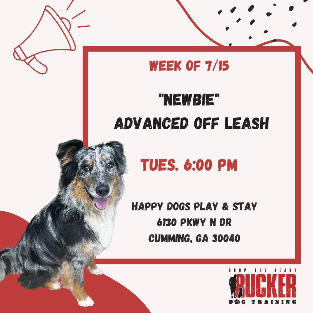 Book A Class Rucker Dog Training Book A Class Rucker Dog Training