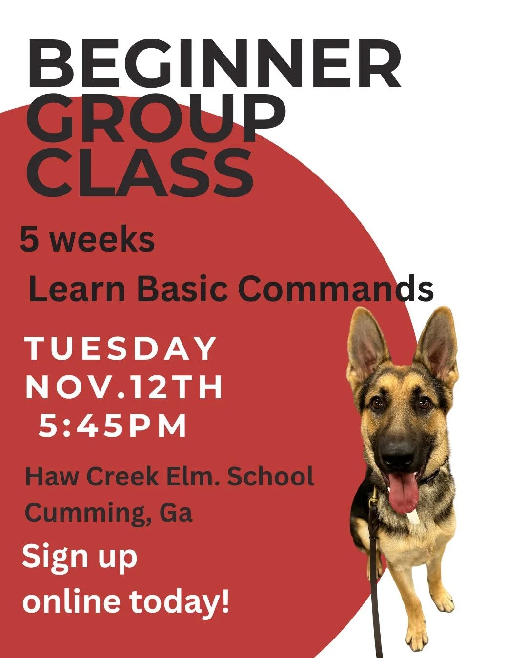 🐶✨ New Beginner Group Class Starting Soon! ✨🐶

Join us for our 5-week Beginner Group Class &mdash; a fun and engaging way to teach your dog basic commands, build confidence, and improve socialization in a group setting.

📅 Tuesday, November 12th
?