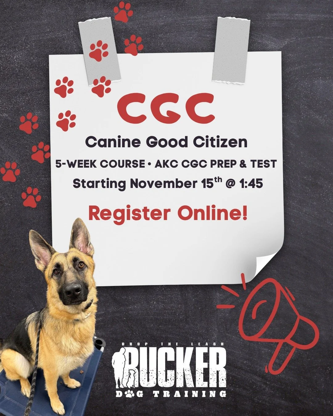 Next Round of Canine Good Citizen Classes Begins November 15th! 🐾

Ready to earn your pup&rsquo;s CGC title? This 5-week course covers everything you need to prep and pass the official AKC test &mdash; building calm, confident, and well-mannered dog
