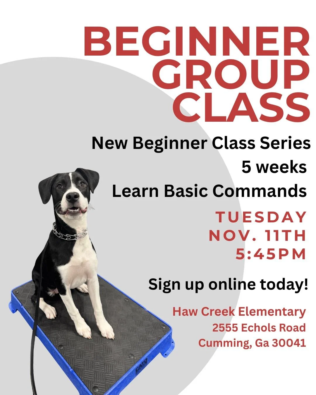 🐾 Cumming Beginner Group Class Starts Soon! 🐾

Our next 5-week Beginner Group Class begins Tuesday, November 11th at 5:45 PM at Haw Creek Elementary in Cumming!

This class is perfect for teaching your dog basic commands, building confidence, and i