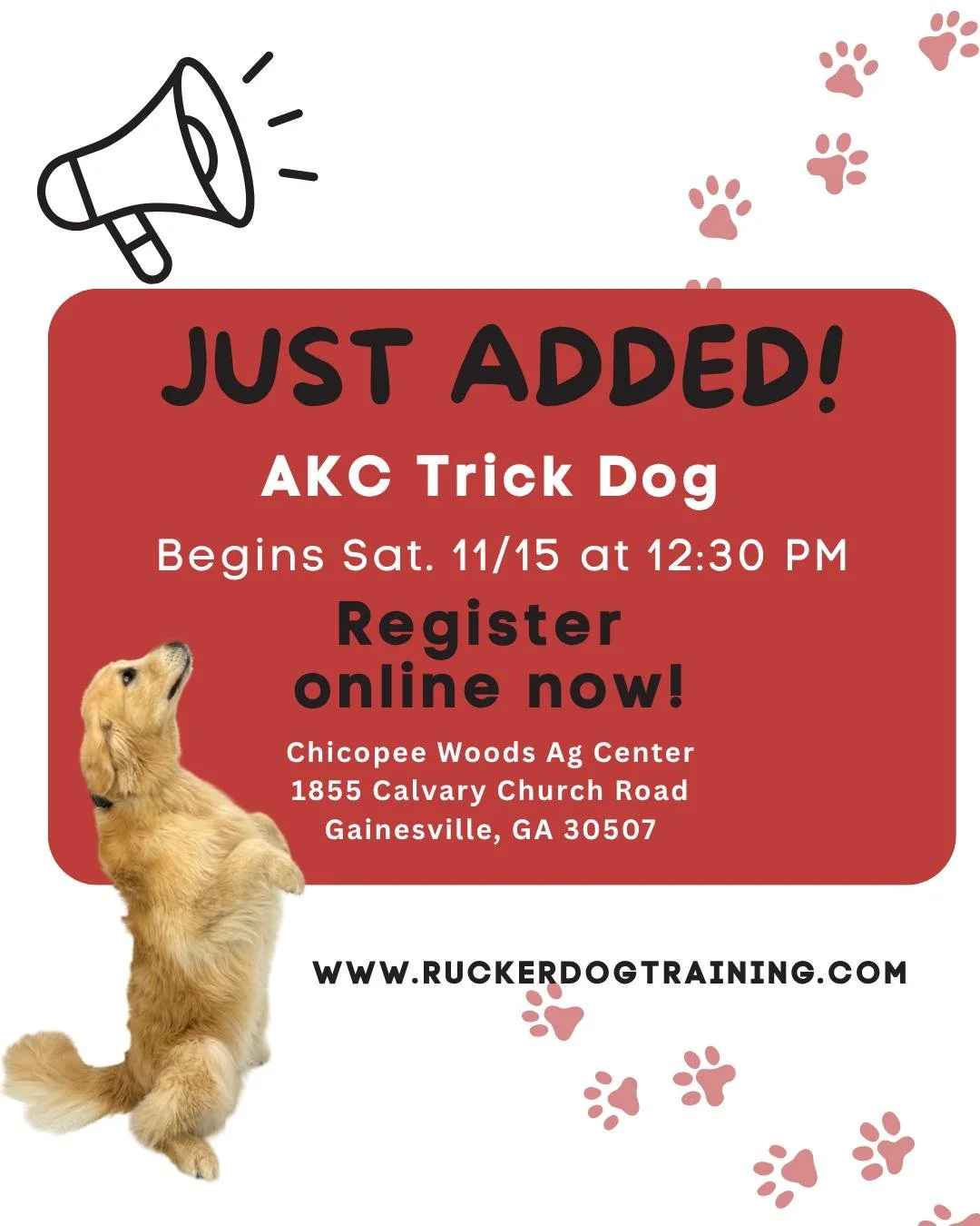 🎉 **Just Added! AKC Trick Dog Class** 🎉

Earn **AKC Trick Dog titles** with your pup while having fun learning new tricks and skills together! 🐾
This class is a fantastic way to strengthen your bond, build confidence, and show off your dog&rsquo;s
