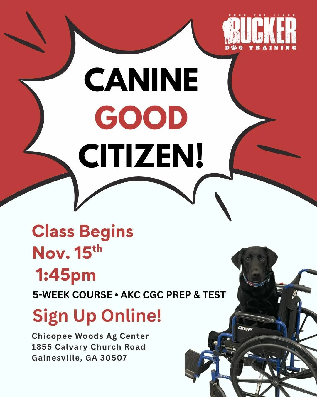 Next Round of Canine Good Citizen Classes Starts November 15th! 🐾

Want to take your pup&rsquo;s training to the next level? Our 5-week CGC course helps build confidence, improve manners, and prepare for the official AKC test &mdash; a great step to