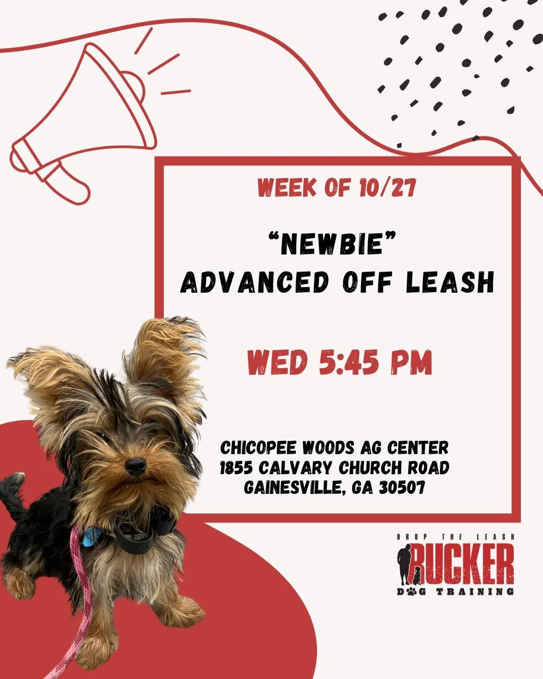Newbie Week!

Huge shoutout to our recent Beginner graduates &mdash; now it&rsquo;s time to take those new skills off leash!

Wednesday &bull; 5:45 PM
📍 Chicopee Woods Ag Center &mdash; Gainesville, GA

Let&rsquo;s keep building confidence and havin