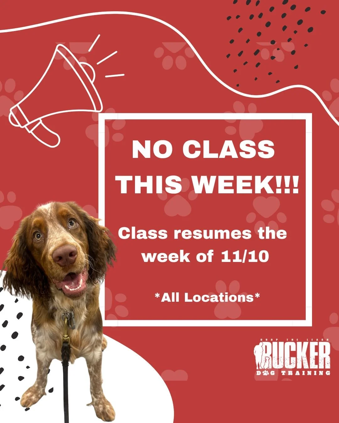 No class this week!

We&rsquo;re taking a short break &mdash; all locations will resume classes the week of November 10th.
Enjoy the week off, keep practicing at home, and we&rsquo;ll see everyone (and every pup) back soon! 🐾

#RuckerDogTraining #Dr