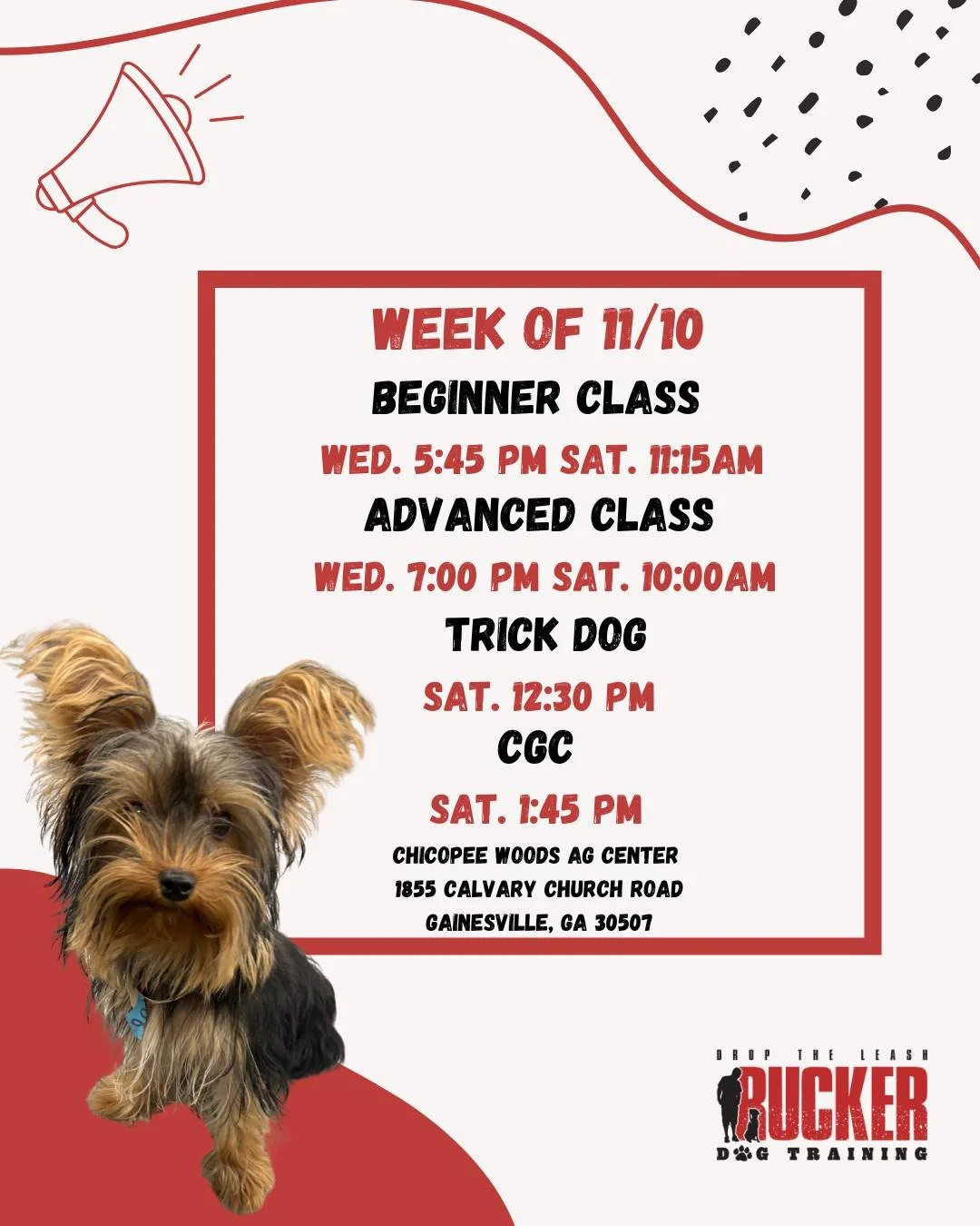 🐾 Gainesville Classes &ndash; Week of 11/10

Classes are back in full swing at Chicopee Woods! 🎉

Our Beginner teams are starting their journey toward reliable obedience, while Advanced class builds on that focus and control. Saturday brings even m