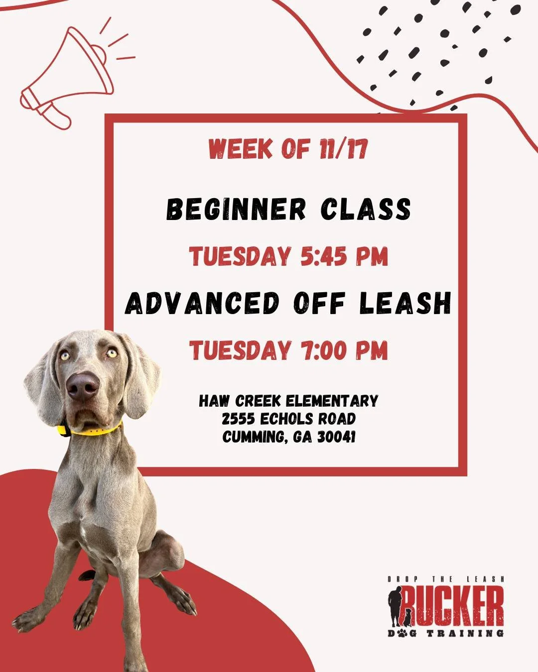 🐾 Tuesday &ndash; Beginner &amp; Advanced Off Leash

Beginner teams are diving into Week 2&rsquo;s focus: the Place command&mdash;perfect for calm greetings, door manners, and settling around distractions.
Our Advanced Off-Leash crew continues refin