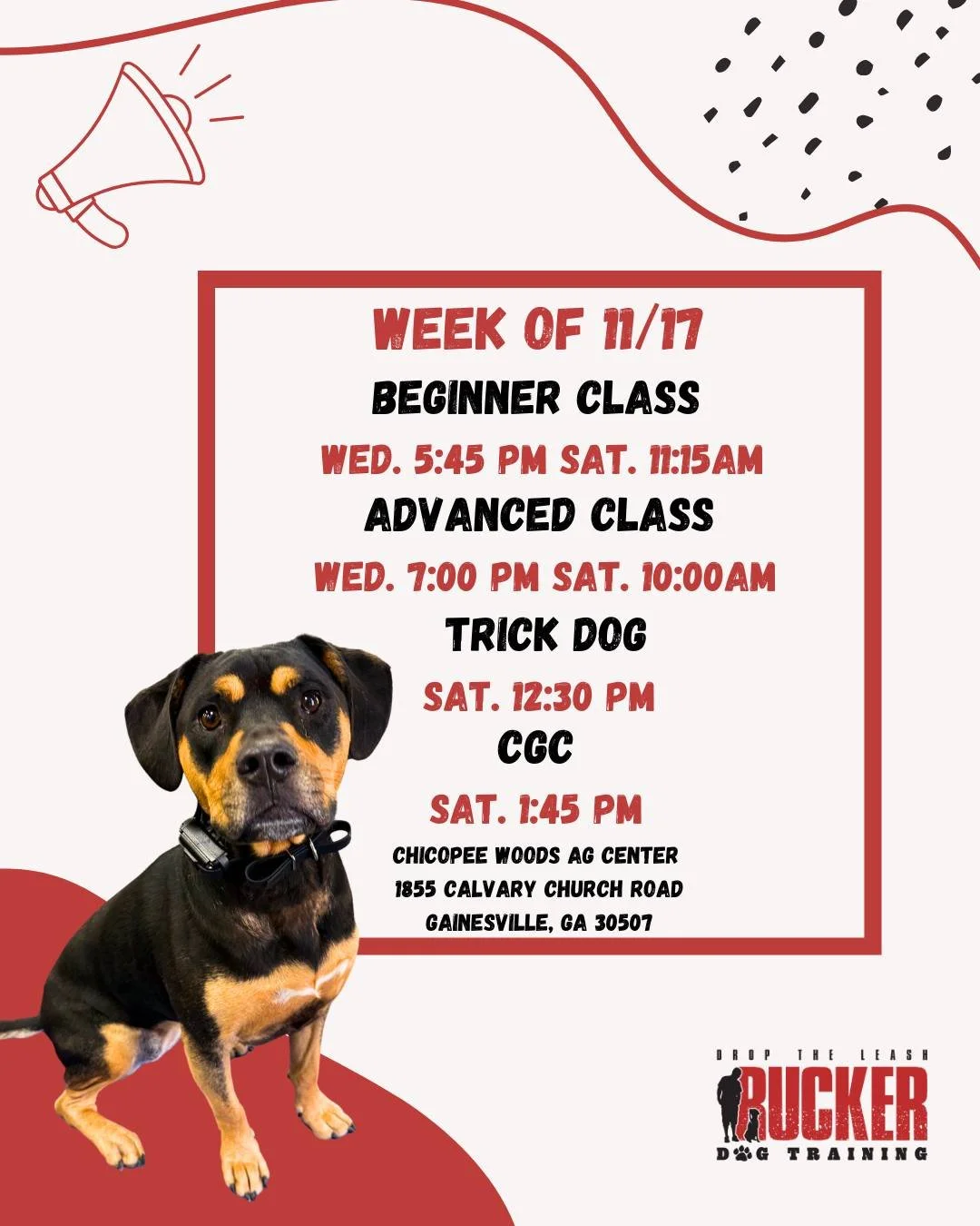 🐾 Gainesville &ndash; Beginner, Advanced, Trick Dog &amp; CGC

Gainesville Beginner pups are working on Week 2&rsquo;s Place command&mdash;one of the most useful tools for polite manners and calm behavior at home and in public.
Advanced teams are co