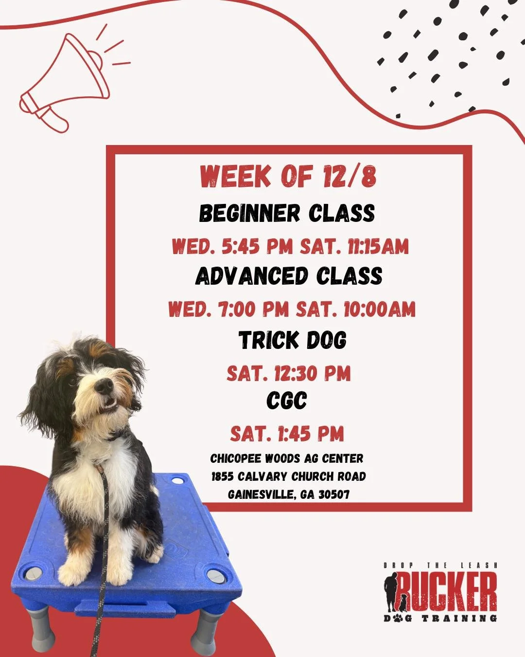 📍 Gainesville &mdash; Beginner, Advanced, Trick Dog &amp; CGC

Gainesville crews&mdash;Week 4 is here! Our Beginner teams are focusing on the come command, an essential skill as we get ready for test week. We&rsquo;ve seen such great progress from t