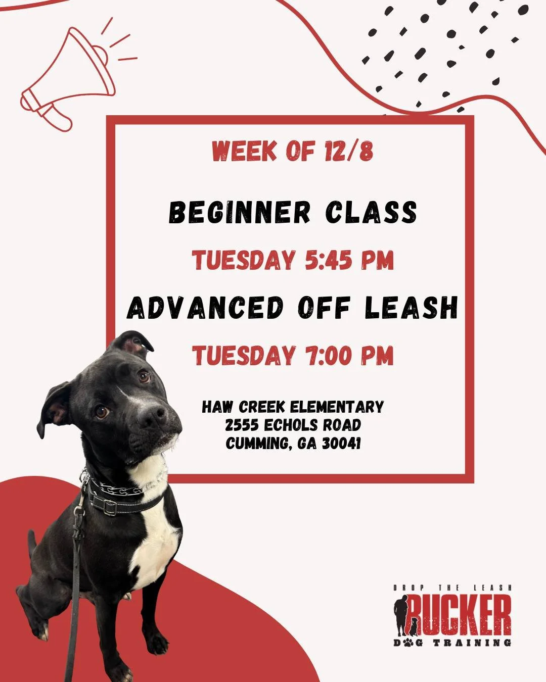 📍 Cumming &mdash; Beginner &amp; Advanced Off Leash (Tuesday)

Cumming Beginner teams&mdash;Week 4 is all about the come command and polishing up those good habits before next week&rsquo;s test. Your dogs have made awesome progress, and this week he