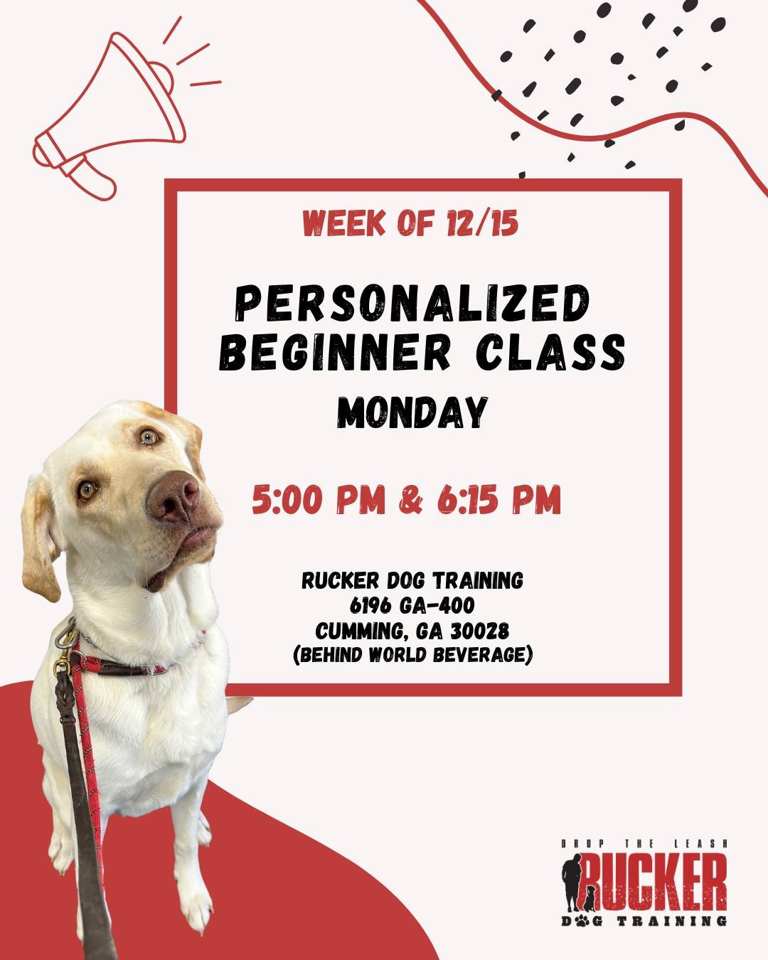📍 NORTH FORSYTH &mdash; Personalized Beginner

Week 5 is here for our North Forsyth Personalized Beginner teams, and it&rsquo;s officially test week!
Everyone has been putting in so much great work&mdash;building focus, communication, leash skills, 