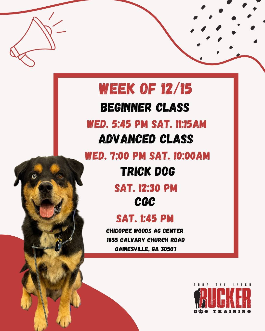 📍 GAINESVILLE &mdash; Beginner, Advanced, Trick Dog &amp; CGC

Gainesville enters Week 5, and it&rsquo;s a big week&mdash;testing for BOTH Beginner and CGC!
Our Beginner teams will be demonstrating the skills they've built over the past month, while