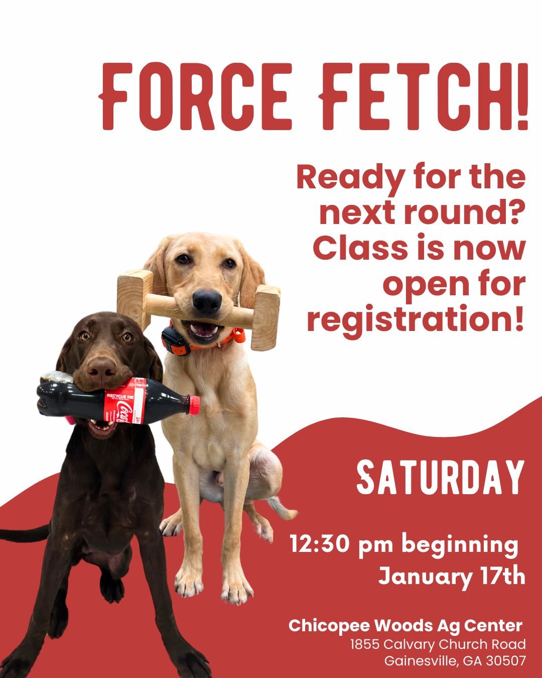 Force Fetch is back! 🔥

Our next round begins January 17th at 12:30 PM at the Chicopee Woods Ag Center.

This class is designed to work towards building rock-solid, reliable retrieves, improve hold and delivery, and help your dog develop confidence 