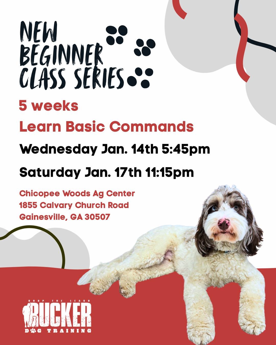 🎉 New Gainesville Beginner Classes are here! 🐾

Looking for a fun (and useful!) gift for your dog? This one checks all the boxes.
Our 5-week Beginner Class Series is designed to teach essential obedience skills while building confidence and focus i