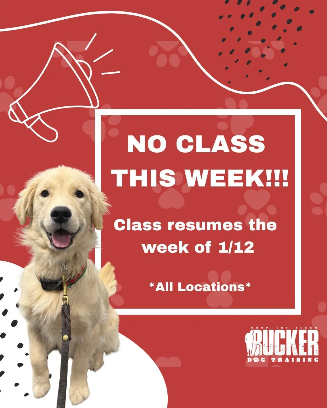 No classes this week as we take a break for the holidays 🎄🐾
All classes will resume the week of January 12 at all locations.
Enjoy some extra time with your pups and we&rsquo;ll see everyone back soon!

#RuckerDogTraining #DropTheLeash #DogTraining