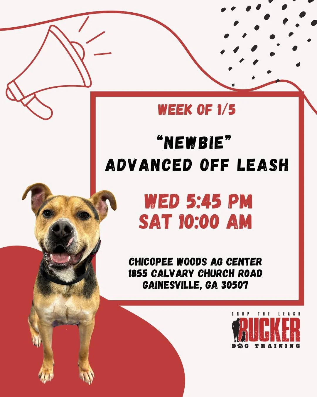 Gainesville &ndash; Wednesday &amp; Saturday

Week of 1/5 | Newbie Week &ndash; Advanced Off Leash

📍 Chicopee Woods Ag Center
🕔 Wednesday &ndash; 5:45 PM
🕙 Saturday &ndash; 10:00 AM

Newbie week is here! We&rsquo;re welcoming new teams and gettin