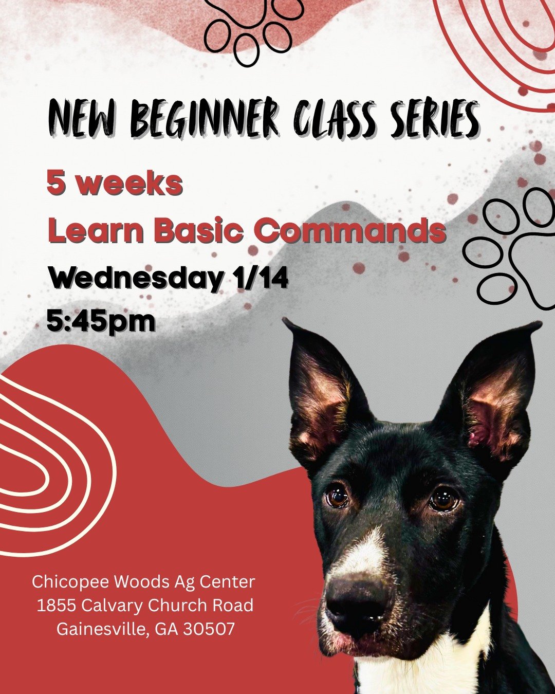 🎉🐾 New Puppy, New Year &mdash; Let&rsquo;s Start Training! 🐾🎉

Got a new pup? Ready to finally jump into training? Our Gainesville Beginner Group Classes are starting soon and there&rsquo;s no better way to kick off the new year strong.

This 5-w