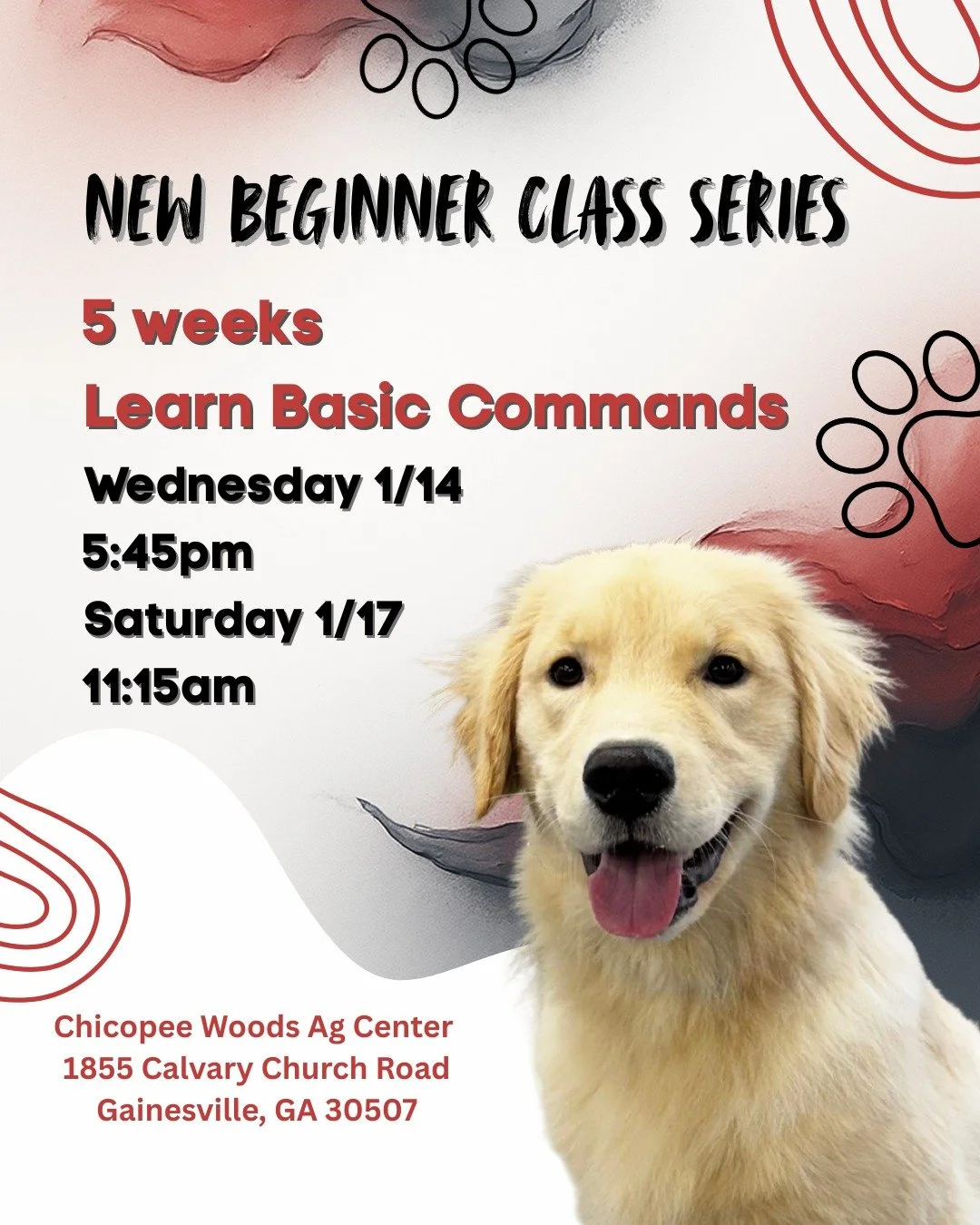 ⏰🐶 Just a few days left to sign up! 🐶⏰

Our Gainesville Beginner Group Classes are kicking off soon, and spots are filling fast. If you&rsquo;ve been waiting for the right time to start training&mdash;this is it.

✔️ 5-week Beginner series
✔️ Learn