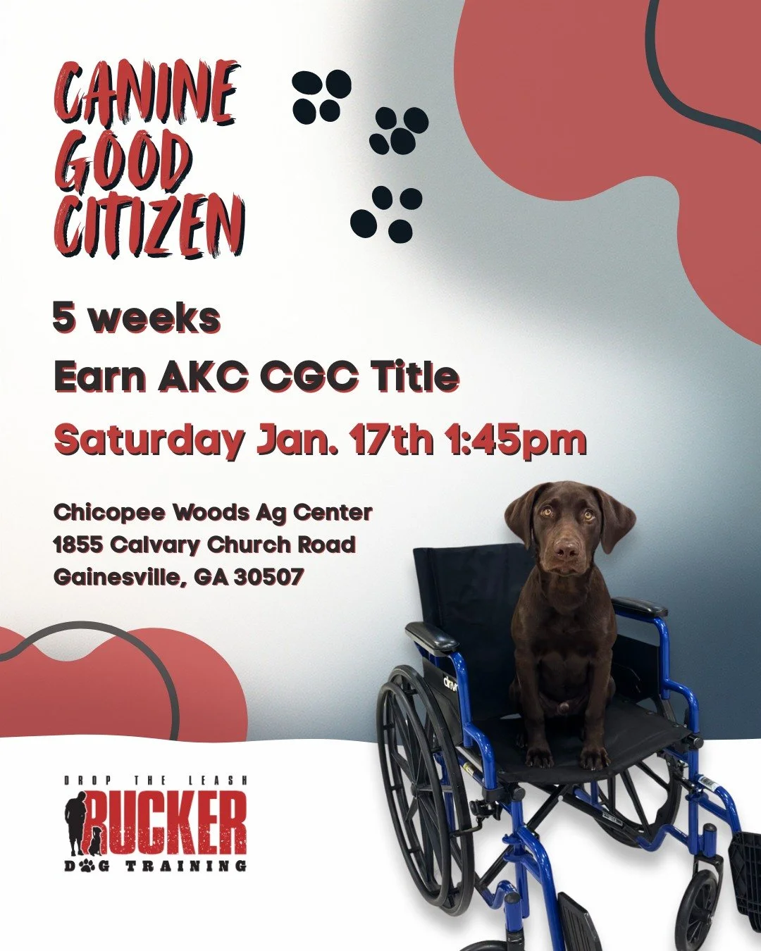 🚨🐾 Class begins THIS weekend &mdash; there&rsquo;s still time to register! 🐾🚨

Our Canine Good Citizen (CGC) class kicks off Saturday, and this 5-week course is designed to help you and your dog work toward earning the AKC CGC title while buildin