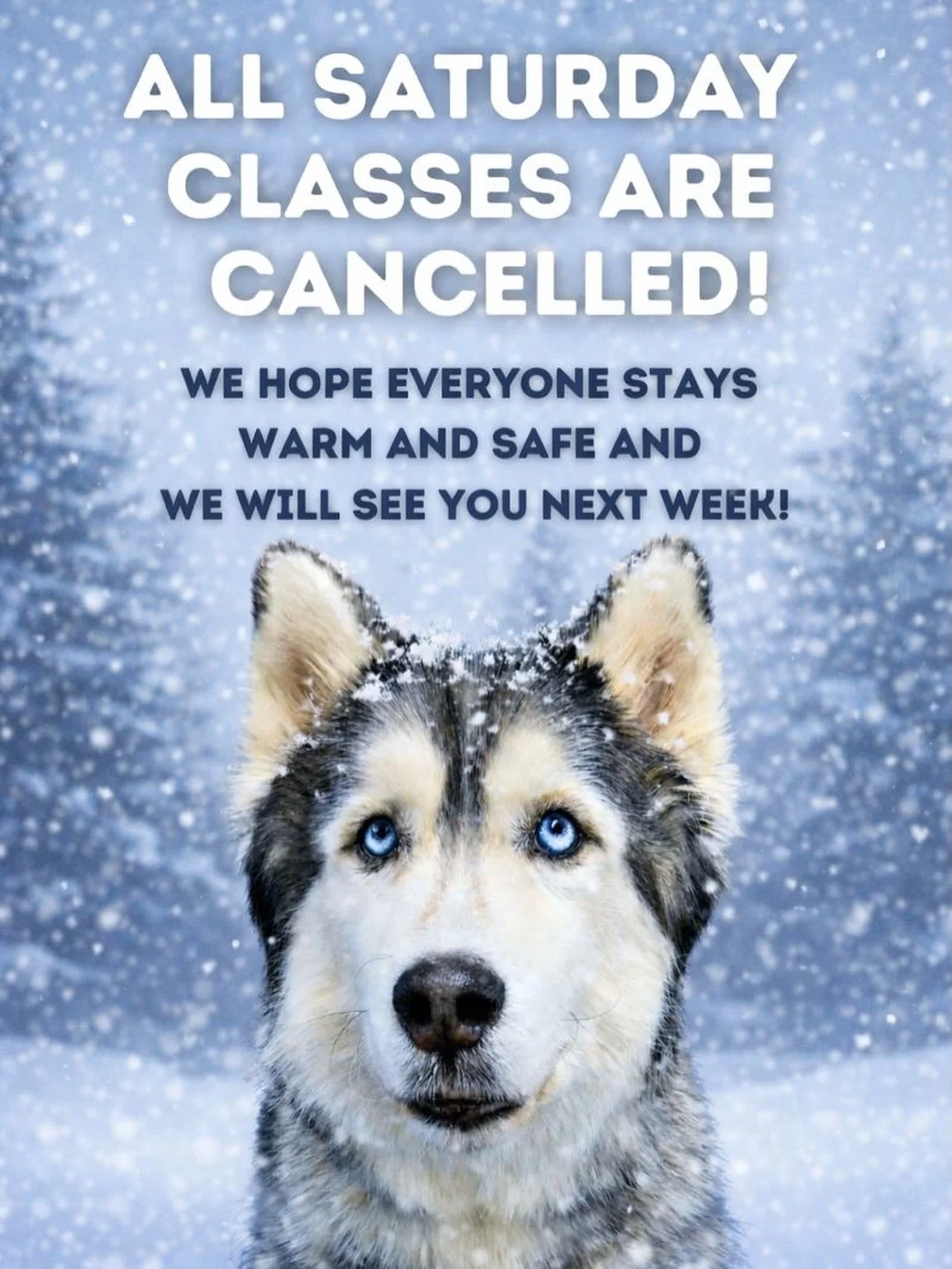 Due to Chicopee Woods Ag Center being closed tomorrow and the winter storm approaching, all Saturday classes are cancelled.
This includes Advanced, Beginner, Force Fetch, and CGC.

We hope everyone stays warm, safe, and cozy with their pups. Please d