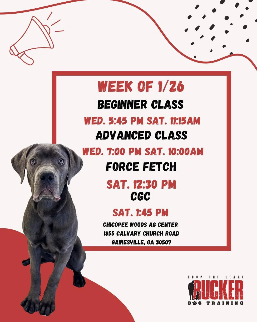 📍 Gainesville &ndash; Chicopee Woods Ag Center (Wed &amp; Sat)

Week of 1/26 | Beginner, Advanced, Force Fetch &amp; CGC

We&rsquo;re heading into another strong week of training! 💪
Beginner pups are adding more commands, Advanced teams are tighten