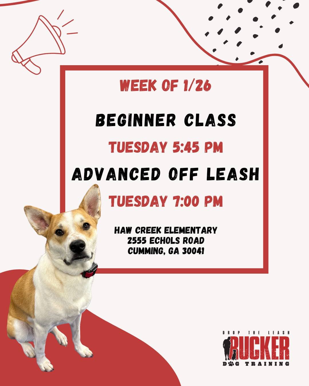 📍 Cumming &ndash; Haw Creek Elementary (Tuesday)

Week of 1/26 | Beginner + Advanced Off-Leash

Another great week of training ahead! 🔥
Beginner dogs are adding new commands and consistency, while Advanced pups continue dialing in off-leash reliabi