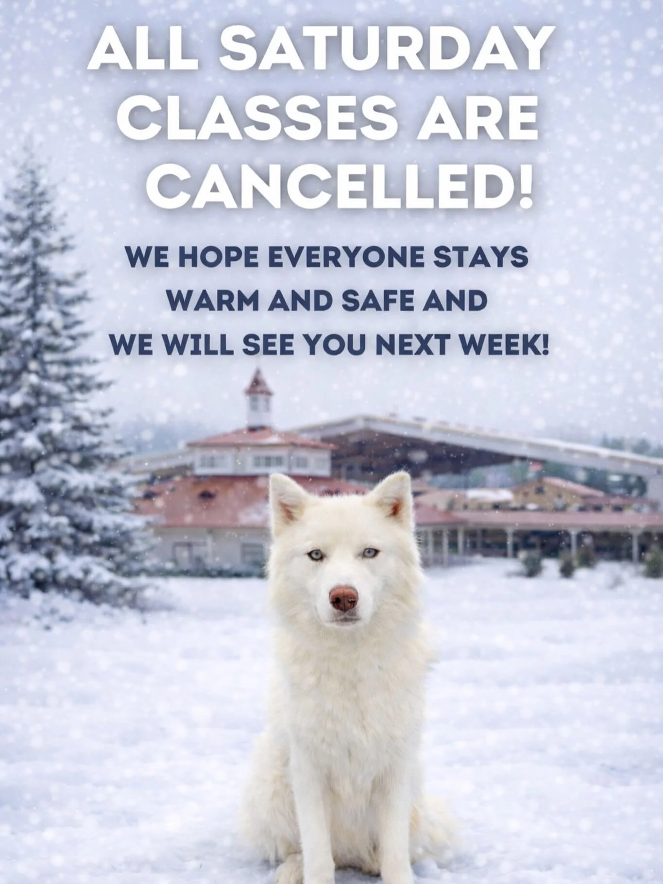 Looks like we&rsquo;re out this week as well. Due to Chicopee Woods Ag Center being closed, all Saturday classes are cancelled.

We know this is a bummer, but everyone&rsquo;s safety comes first. Stay warm, stay safe, and we can&rsquo;t wait to see e